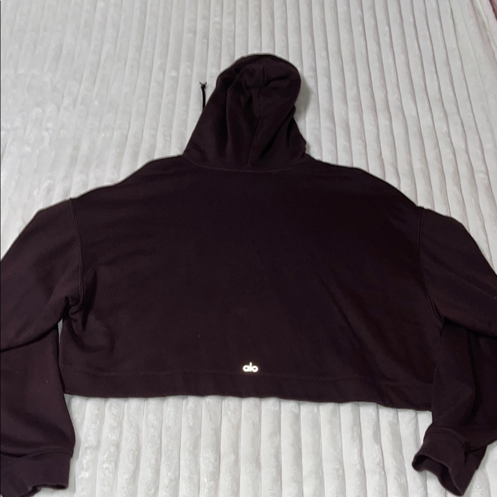 ALO Yoga purple Cropped Hoodie
